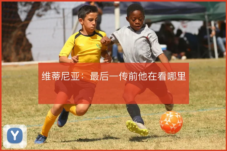 维蒂尼亚：最后一传前他在看哪里